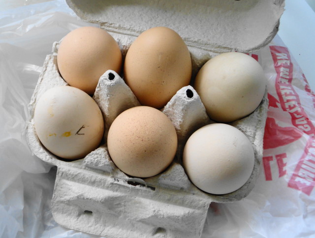 Neighbor's eggs April 2013